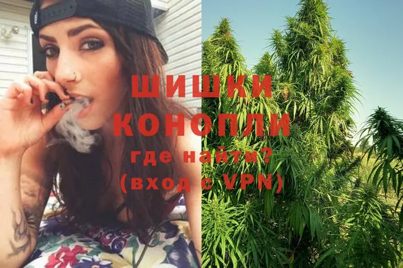 Бошки Шишки SATIVA & INDICA  Пушкино 